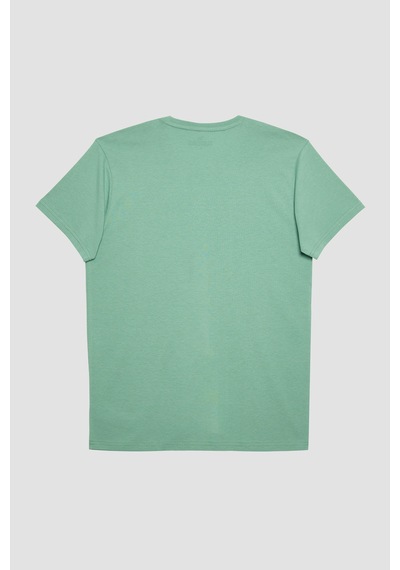 Tudors Erkek Slim Fit Dar Kesim %100 Organik Pamuk Yumuşak Dokulu Basic Açık Yeşil Bisiklet Yaka Tişört-31795-yeşil Yeşil