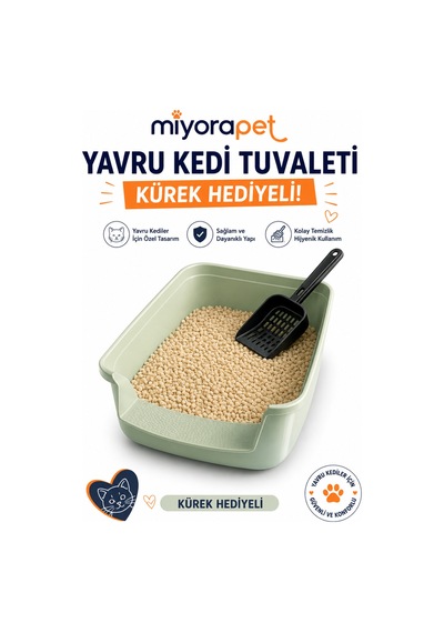 Yavru Kedi Tuvaleti