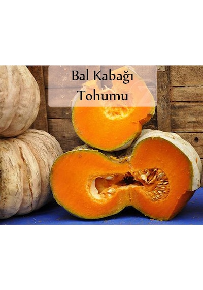 Bal Kabağı Tohumu 1 Paket Kabak Tohumu Kapalı Paket Tohum Bal Kabağı Tatlı Kabağı