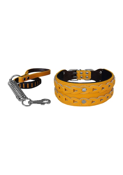Markapet Elegance Deri İşlemeli Lüks Köpek Tasma Seti XL 7 x 60-68 CM Sarı