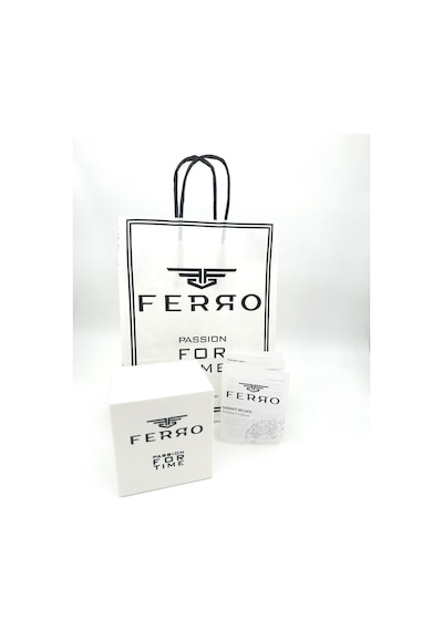 Ferro Fl21502 Kadın Kol Saati - Gümüş-altın Renk Çok Renkli