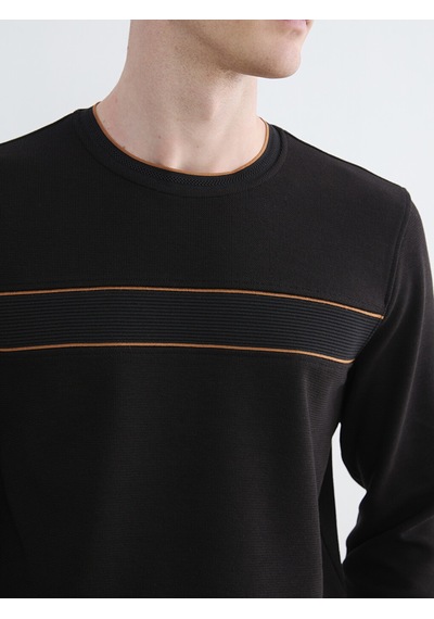 Lcwaıkıkı Classic Siyah Bisiklet Yaka Şerit Detaylı Erkek Sweatshirt