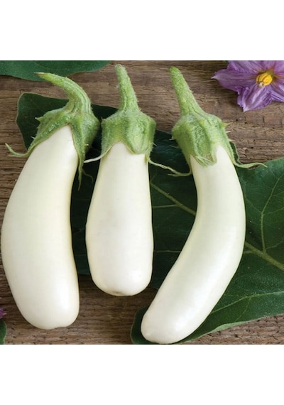 Casper Long Patlıcan Tohumu 15 Tohum