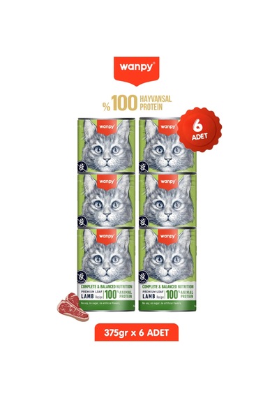 Wanpy Kedi Konserve Mama 375 Gr Kuzulu X 6