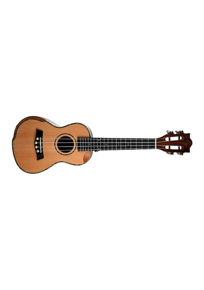 Gstyle Uk-24kht Concert Ukulele