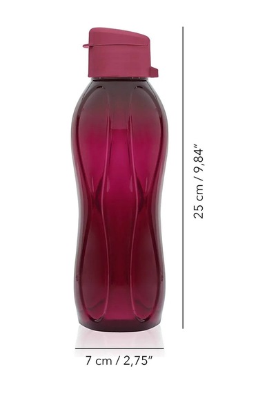 750 Ml Su Matarası Eve, Okula, Spora, İş Yerine Uygun & Su Şişesi & Suluk - Bordo Plastik Bordo Diğer