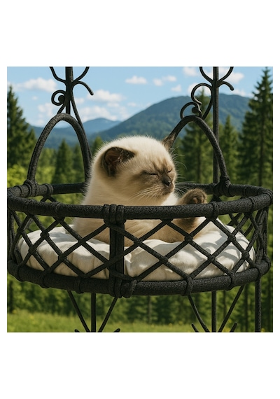 Teknor Cam Güzeli Kedi Köpek Yatağı