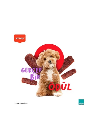 Ayrex Wanpy Oven Roasted Gerçek Ördek Fileto 100 G Köpek Ödülü, Küçük Köpekler