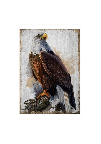 Bedeko Ahşap Tablo 25 Cm X 35 Cm Beyaz Başlı Kara Kartal