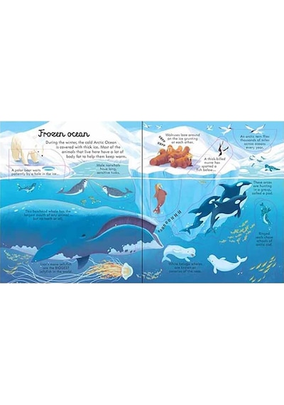 The Usborne Look Inside Seas And Oceans 5+ Yaş