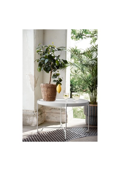 Vallmofrön Rattan Saksı, Deniz Sazı 17497324