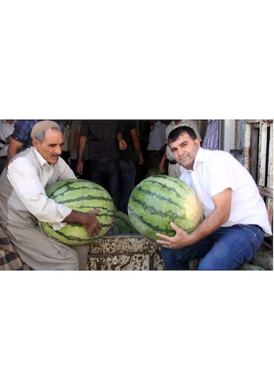 Eko Paket Diyarbakır Karpuzu Tohumu 75 Tohum + Tohum