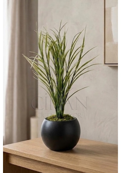 Küre Saksılı Açık Yeşil Yapay Sazlık 80 Cm Beyaz