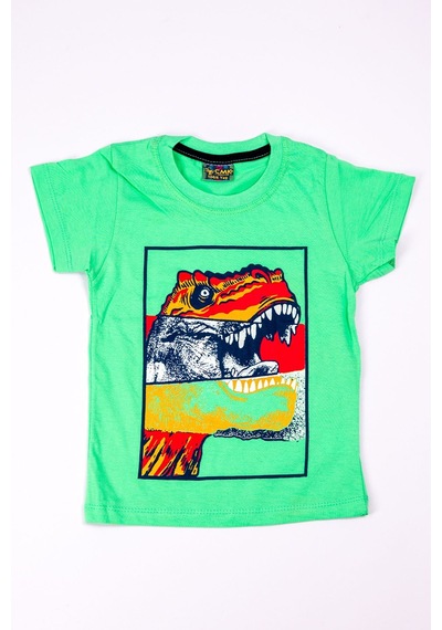 Hçm Erkek Çocuk Tshirt Dinozor Baskılı A28 Mavi