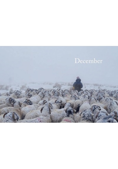 Celebrating The Seasons With The Yorkshire Shepherdess: Farming, Family And Delicious Recipes To Sha