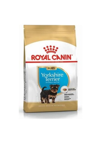 Yorkshire Terrier Puppy Yavru Köpek Maması 1,5 Kg