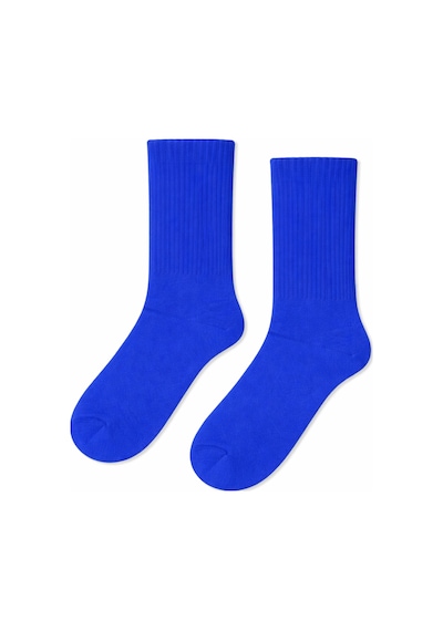 Carnaval Socks Düz Lacivert Desensiz Renkli Spor Çorap Çok Renkli
