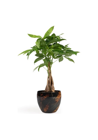 Vive El Yapımı Metal L Saksı 21x16 cm
