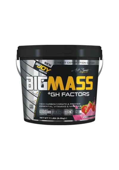 Bigjoy Bigmass Gainer +Gh Factors 5000 G