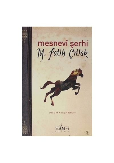 Mesnevi Şerhi - Tasavvuf Öğretileri Ve Eğitim Düzeyi