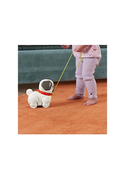 Fisher-price Sesli Minik Dostumla Yürüyüş Eğlenceli Çekçekli Köpek Oyuncağı 16,2 Cm