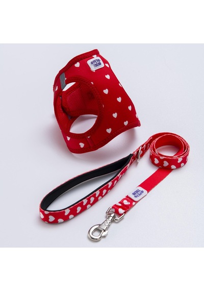 Simple Love Göğüs Tasması Ve Sevk Kayışı Tasma Seti Kalpler Desenli Kedi Köpek Göğüs Tasması Seti Kırmızı