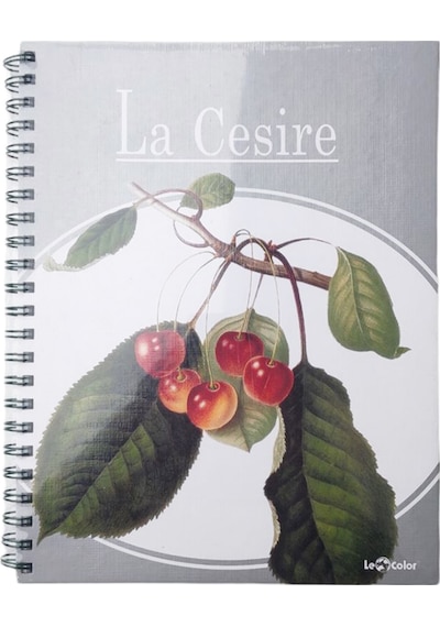 Le Color Kiraz Desen 2+1 Kareli & Çizgili 235x300 Spiralli Defter