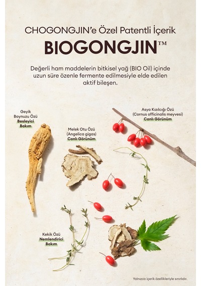 Missha Chogongjin Youngan Jin Special Care Set