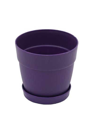 Poliwork Tabaklı Kaktüs Saksı Mix 0,11 Lt 65 60 Mm 08070014