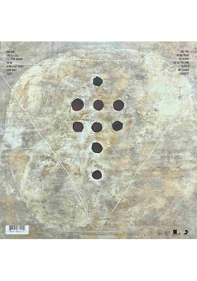 Foo Fighters Foo Fighters Lp Plak