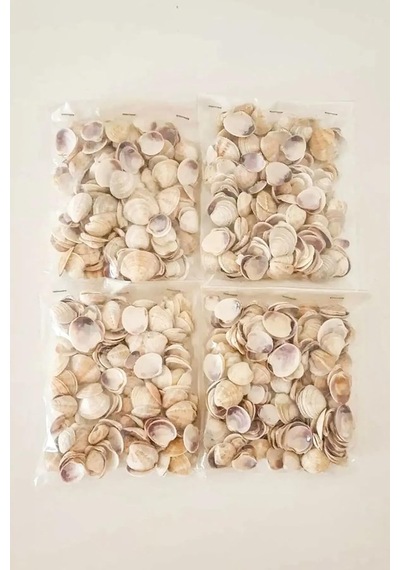 Tr Küçük Deniz Kabuğu 100 Gr - Süs - Dekoratif - Hobi - Akvaryum Süsleme
