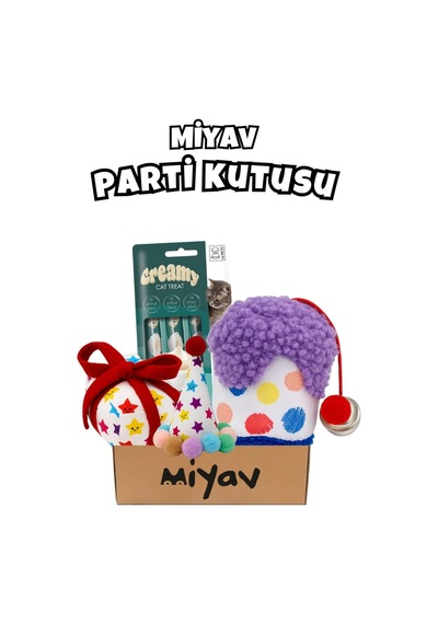 Kedi Parti Kutusu  4'lü Set