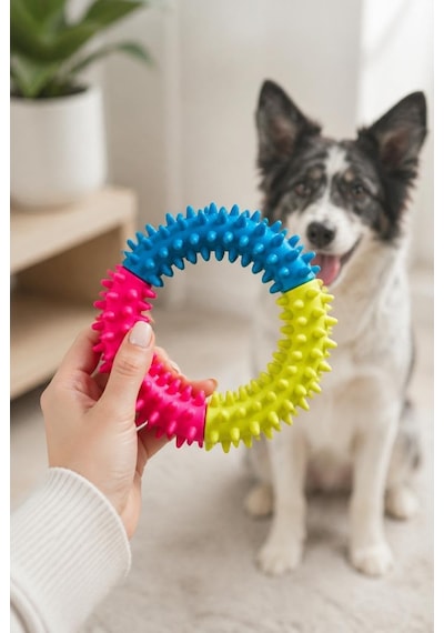 Köpek Diş Kaşıma Oyuncağı, Halka Formlu Çiğneme Ve Oyun Oyuncağı, Diş Eti Masajı Ve Günlük Aktivite İçin Dokulu Tasarım