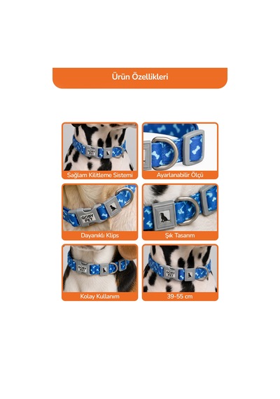 Köpekler İçin Dayanıklı Ve Güvenli, Desenli Boyun Tasması 25mm Lacivert