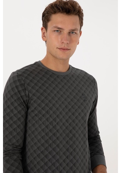 U.S. Polo Assn. Erkek Regular Fit Bisiklet Yaka Pamuk Antrasit Sweatshirt 2245989