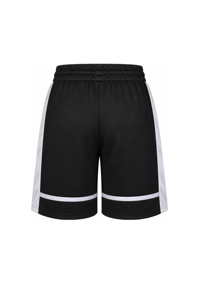 Puma Scoot Lab Erkek Şort 630697-01 Çok Renkli