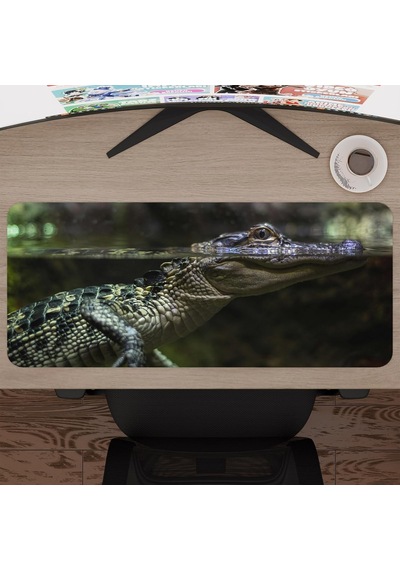 Timsah Oyuncu Gaming Mouse Pad Kauçuk Kaymaz Taban Mousepad V4, 70x30 Xl
