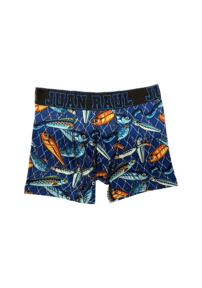 Boxer - Fısh