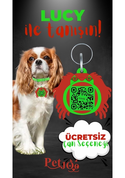 Petjoo 11.Lucy Kırmızı-Yeşil Qr'lı Köpek Künyesi