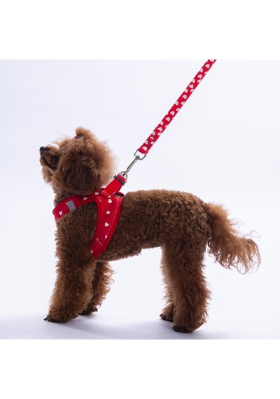 Simple Love Göğüs Tasması Ve Sevk Kayışı Tasma Seti Kalpler Desenli Kedi Köpek Göğüs Tasması Seti Kırmızı