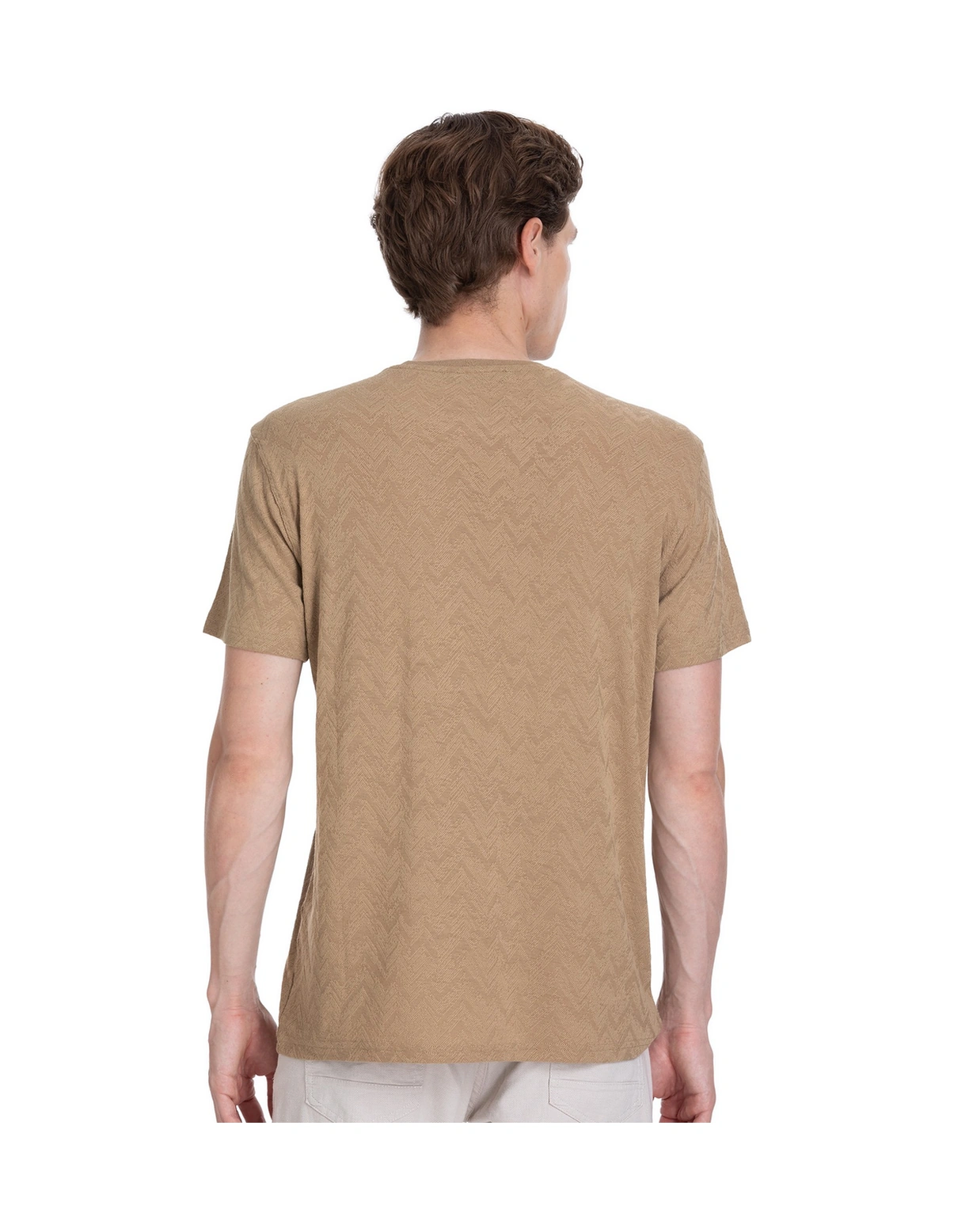 Hatemoğlu Vizon Regular Fit Bisiklet Yaka Tişört 35801 4087410