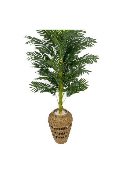 Biçiçek Areka Palmi̇yesi̇ 160 Cm İskandi̇nav Tarz Hasir Saksıda