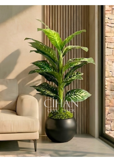 Yapay Difenbahya Ağacı 120 Cm 27x33 Cm Siyah Küre Saksı Beyaz