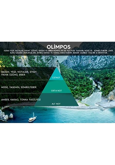 Rulopak Cosmic M5 Koku Makinası Kokusu, Olimpos Abundance Prosperity