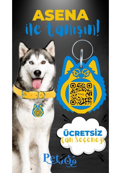 Petjoo 25.Asena Mavi-Sarı Qr'lı Köpek Künyesi