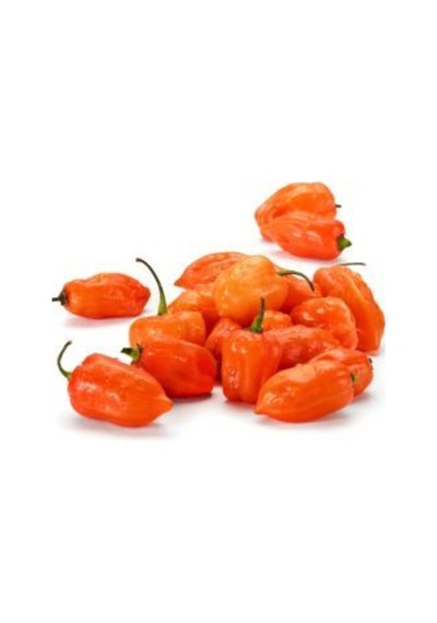 Ithal Çok Acı Habanero Biber Tohumu Ekim Seti