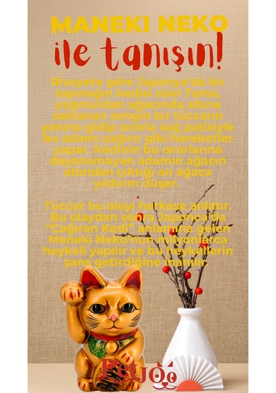 Petjoo 4.Maneki Neko Kırmızı-Sarı Qr'lı Kedi Künyesi