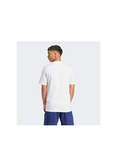 Adidas Collegiate Lineage Grafik Basklı Tişört White- White-