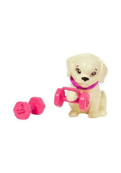 Bebek Ve Aksesuarlar Yavru Köpeği, Spor Kıyafetleri, Patenleri Ve Tenis Raketiyle Barbie Bebek Hkt91 Genel