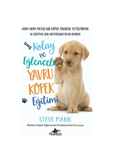 Kolay Ve Eğlenceli Yavru Köpek Eğitimi: Adım Adım Mutlu Bir Köpek Yavrusu Yetiştirmek Ve Eğitmek İçi Sku: Smgstk77aaadd5d2